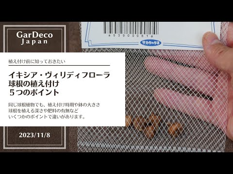 ヴェラ・ダ・ポッツォについて詳しく解説