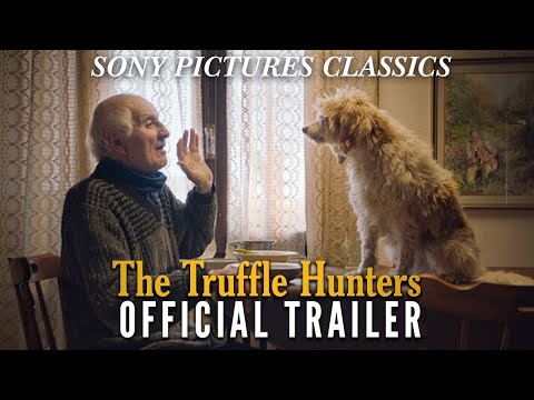 THE TRUFFLE HUNTERS | Official Trailer (2020)