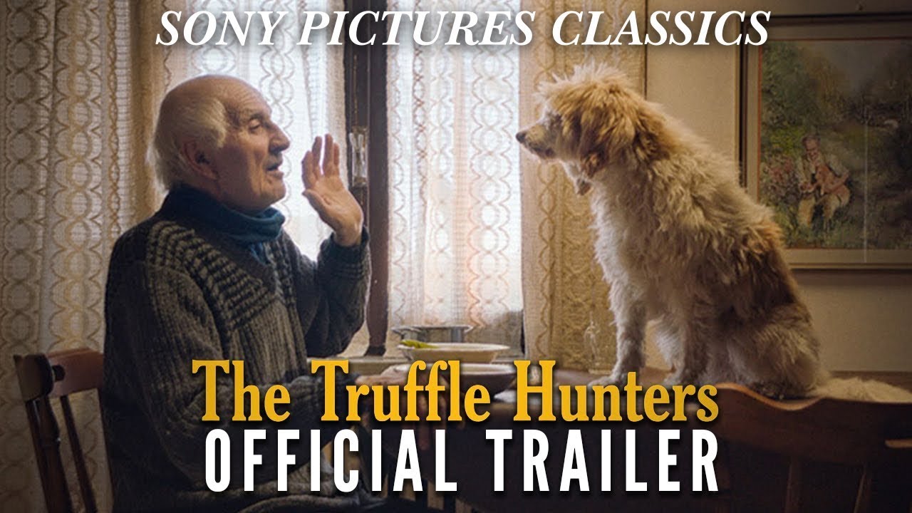 The Truffle Hunters