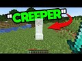 Minecraft But Any Mob I Say Spawns