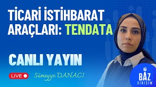TEN Data Nedir? İhracatçılar İçin Ticari İstihbarat Rehberi