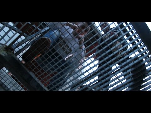 Malavita x LNiñoDMilBarrios - Perros y Ratas (Videoclip) [Critical Click]