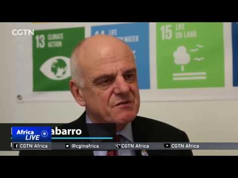 British physician David Nabarro runs for top W.H.O. post