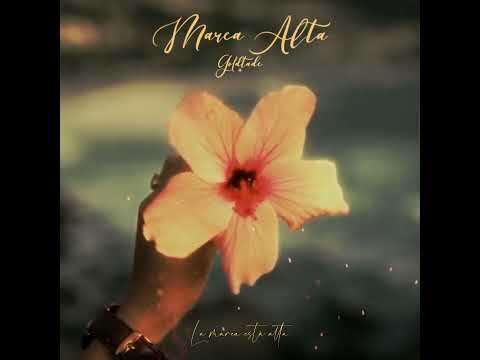 GoldTade - Marea Alta (Visualizer)