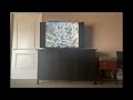 Closing To A Bug S Life 2003 DVD
