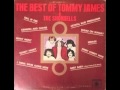 Tommy James & The Shondells (Baby, Baby) I Can't Take It No More