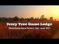 Ivory Tree Game Lodge A South African Safari Safari Bucketlist