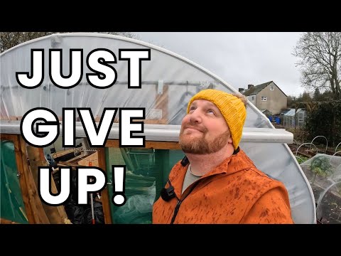 When the weather stops the gardening | Allotment Gardening Uk | Shed Makeover