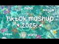 TikTok Mashup 2025