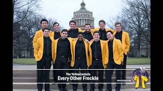 Every Other Freckle (opb. Alt-J)| The YellowJackets