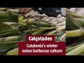 Calçotades Catalonia S Winter Onion Barbecue Culture