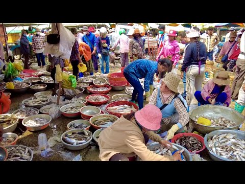 Fish Market Scene At Kilo Number 9 In Phnom Penh Cambodia & More