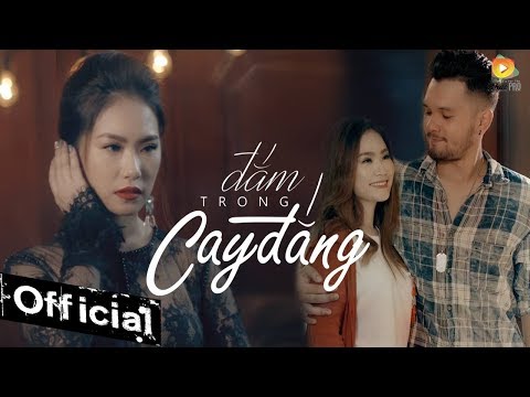 Đắm trong cay đắng - Lương Bích Hữu
