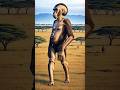 A I Human Evolution Past To Future Shorts