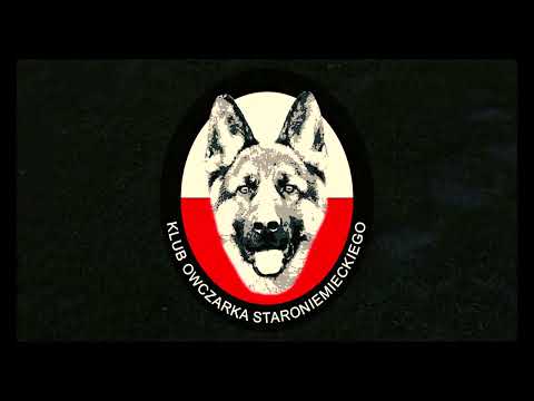 Klub Owczarka Staroniemieckiego - Wystawa - Cieśle 1.05.2022