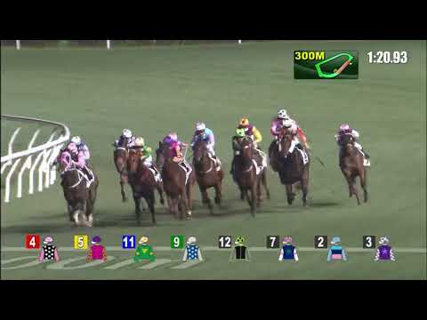 13/4/2022 (582) Nothing New - Z Purton