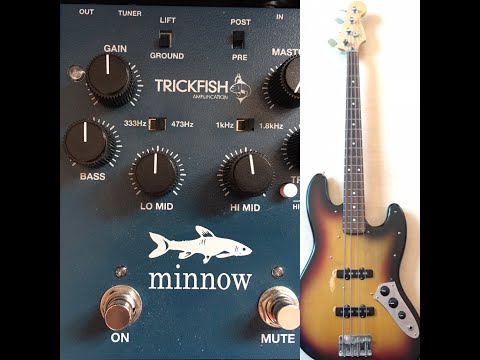 Trickfish Minnow + Fender Jazz Bass