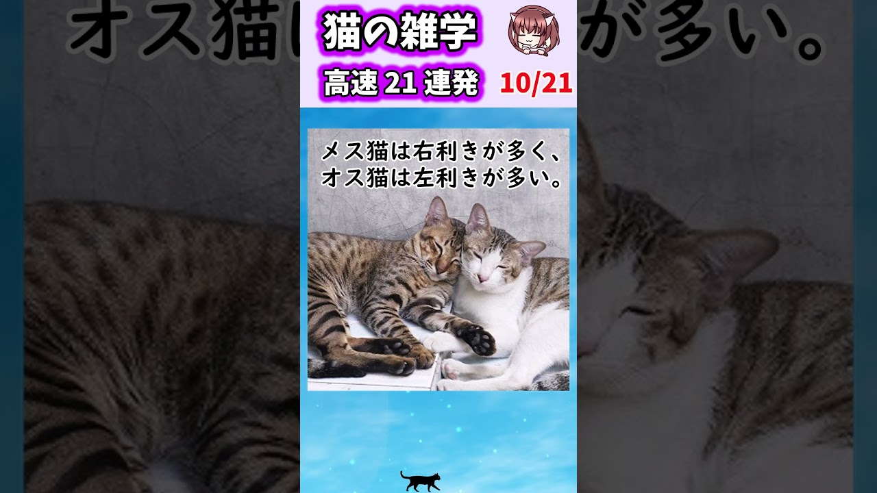 猫の雑学高速２１連発！【Part1】#shorts
