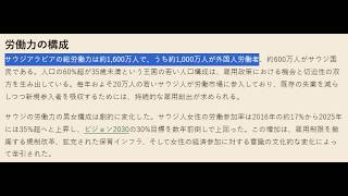 外国人労働者問題の最先端「サウジアラビア」の闇に気づいてしまったので共有します AkiraTrabel
