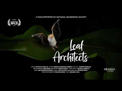 Leaf Architects - Trailer
