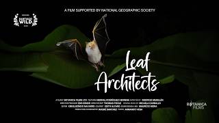 Leaf Architects - Trailer