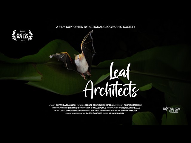 Leaf Architects - Trailer