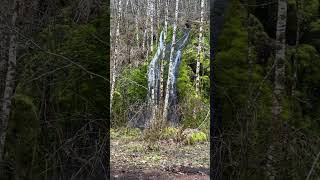 Me caí (Carson)#viralvideo #youtubeshorts #cascada #travel