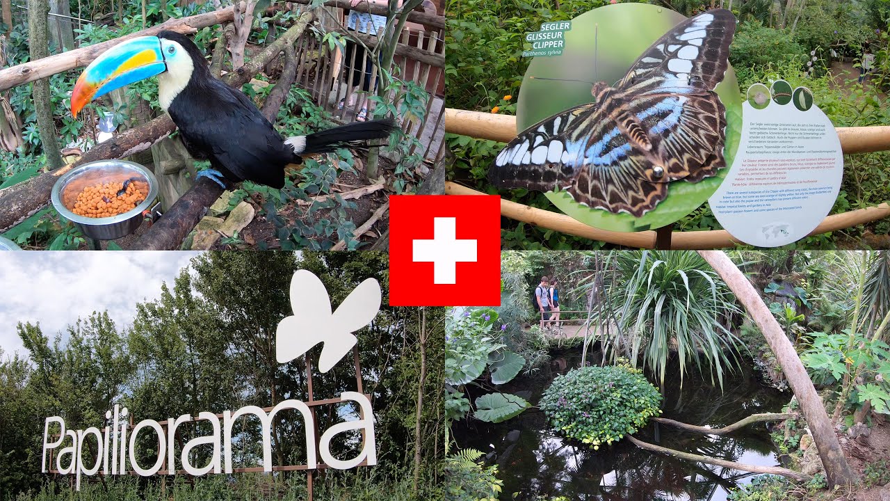 Papiliorama – Swiss Butterfly Garden and more