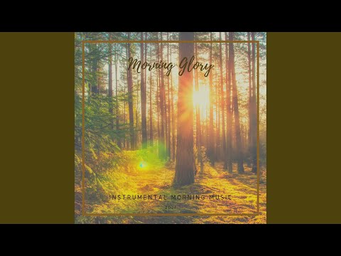 Smooth Morning Waves