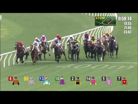 7/3/2021 (482) City Legend - Jerry Chau