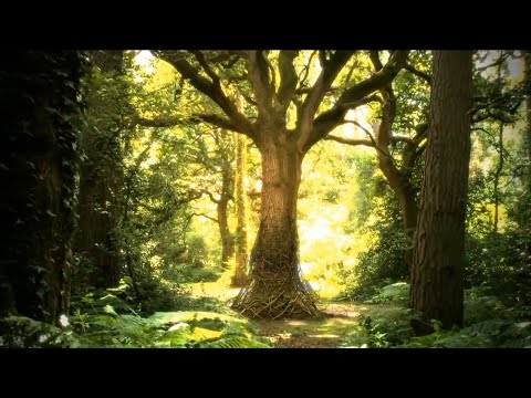 Wah Yantee  (Amrit Kirtan)