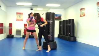 preview picture of video 'LoganvilleKickboxing: Hook Techniques with Stacy and Christine'