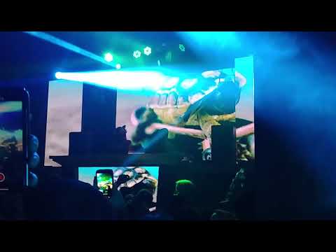 First 31 minutes of Trippy Turtle at Foundation Seattle