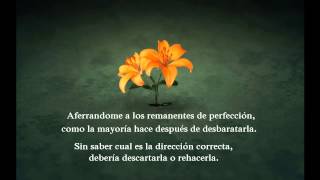 Relient k - Curl Up and Die (Subtitulada en Español)