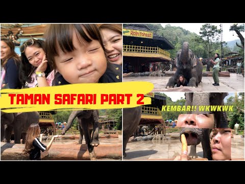 mvlog-7-pertemuan-anak-gajah-dengan-induknya-di-taman-safari-part-2