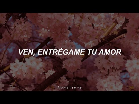 Alejandro Fernández - Si Tú Supieras // Letra