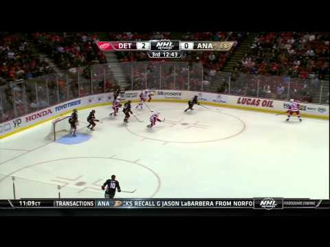 23.02.2015 Detroit Red Wings vs. Anaheim Ducks