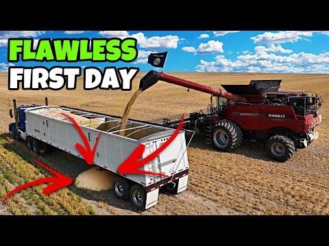 I'm Getting FIRED For This...🤦‍♂️😅 - Harvest 2024