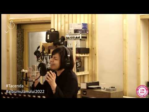 Bujor Stoicovici & Orchestra Tacenda - Care pe care (live)