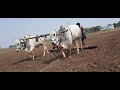 Farmer Annavarum