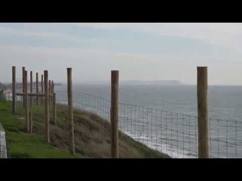 Boscombe Goat Fence, 6 foot monstrosity from Manor Steps to Portman Ravine February 2020