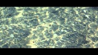 new scientist by eastern rain, recorded oct, 2014, hamburg