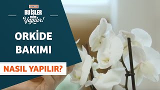 Orkide Bakımı Nasıl Yapılır?