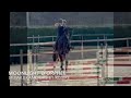 Jument SF top amateur