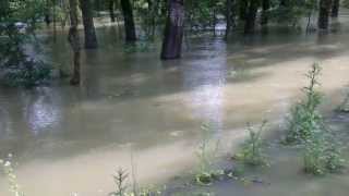 preview picture of video 'Slapovi u Adici, Vukovar, poplava 12.06.2013. godine'