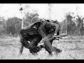The Eve Of Destruction (Vietnam Footage)