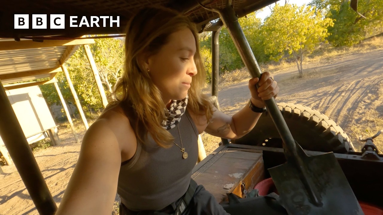 Inside the Making of Big Cats 24/7 | BBC Earth