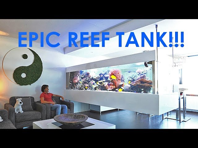 RALPH'S REEF - EPIC REEF TANK IN AMSTERDAM!!