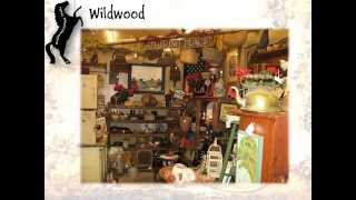preview picture of video 'Wildwood Antique Malls Primitive Antiques of Ocala & Wildwood part 1'
