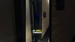 This Is Where You’ll Spend All Day on Royal Princess #shorts #cruise #PrincesCruises